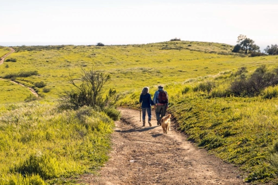 Tudatos étrend, mozgás és prevenció: tervezés és megvalósítás 